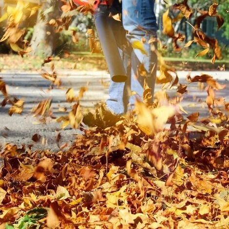 WILTEC Aspirateur Souffleur De Feuilles Mortes & Broyeur Essence 1CV 26ccm 3-en-1 Sac Collecteur 50L – Image 3