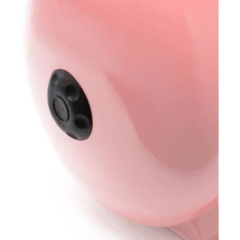 WILTEC Pièce Détachée Originale Bouchon De La Valve Schrader Pour Réservoir à Vessie De 24 - 100L – Image 3