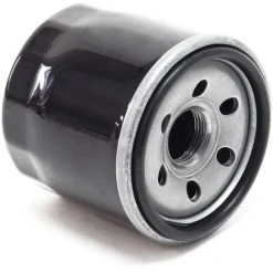 WILTEC Cartouche De Filtre à Huile De Rechange Moteur à Essence 4 Temps De 15,5 KW (20,4 CV) LIFAN 2V78F-3