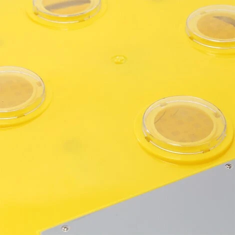 WILTEC Couveuse Automatique 48 Oeufs Appareil à Couver Incubateur 4 Fenêtres De Surveillance – Image 4